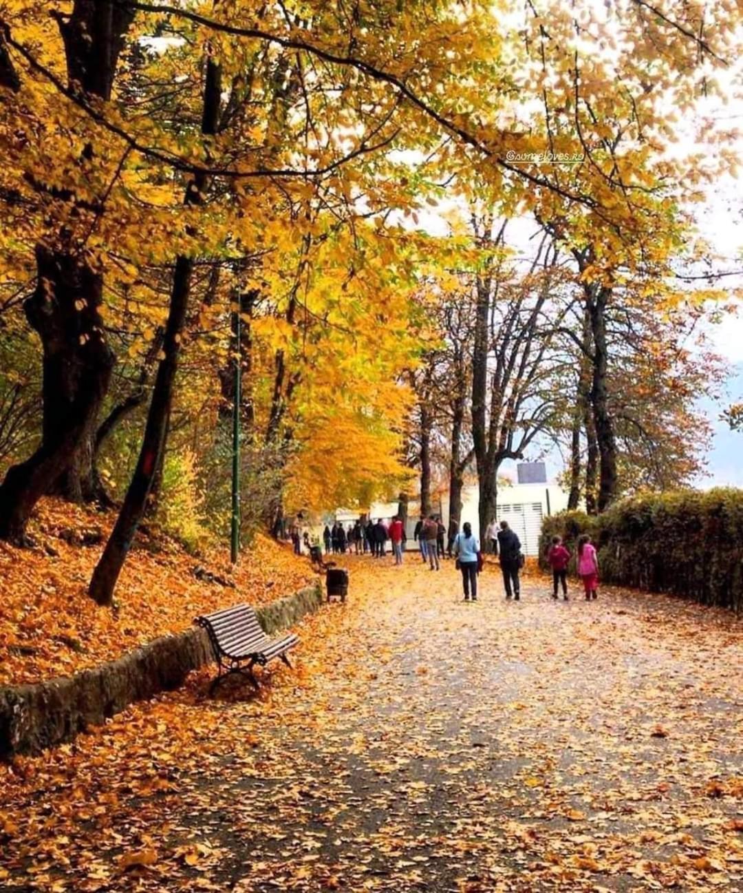 Alpine Sunrise Residence - Brasov Old Center エクステリア 写真